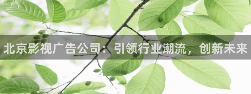 6080yy伦理视频：北京影视广告公司：引领行业潮流，创新未来