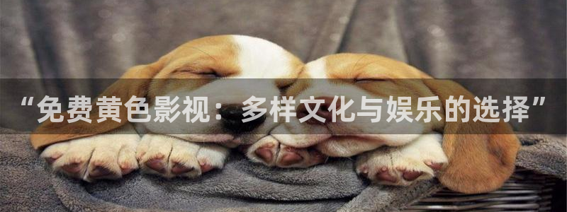 国内伦理影院：“免费黄色影视：多样文化与娱乐的选择”