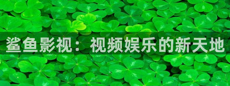 国外伦理影院：鲨鱼影视：视频娱乐的新天地