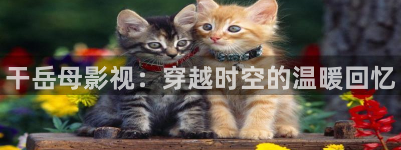 手机伦理影院：干岳母影视：穿越时空的温暖回忆