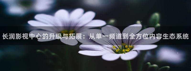 窝窝伦理影院：长润影视中心的升级与拓展：从单一频道到全方位内容生态系统