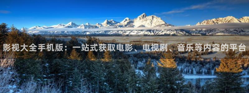 国产伦理影院：影视大全手机版：一站式获取电影、电视剧、音乐等内容的平台
