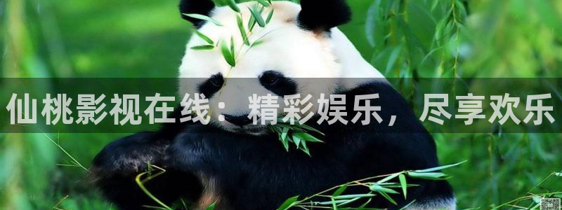 非洲伦理影片：仙桃影视在线：精彩娱乐，尽享欢乐