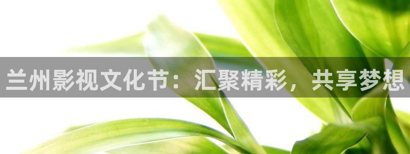 在线伦理影院：兰州影视文化节：汇聚精彩，共享梦想